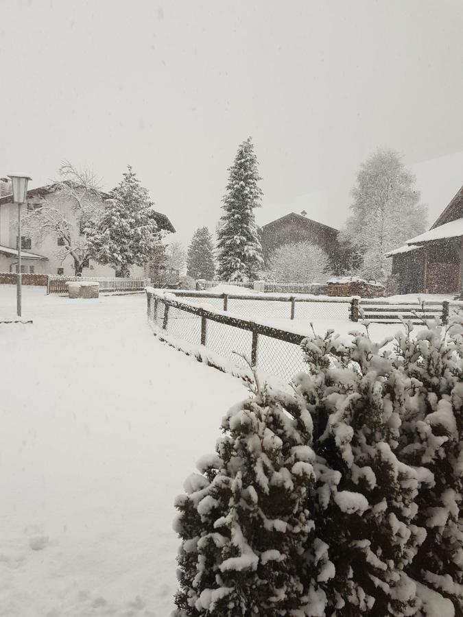 Haus Wiesenheim Fw Oetztal レンゲンフェルト エクステリア 写真